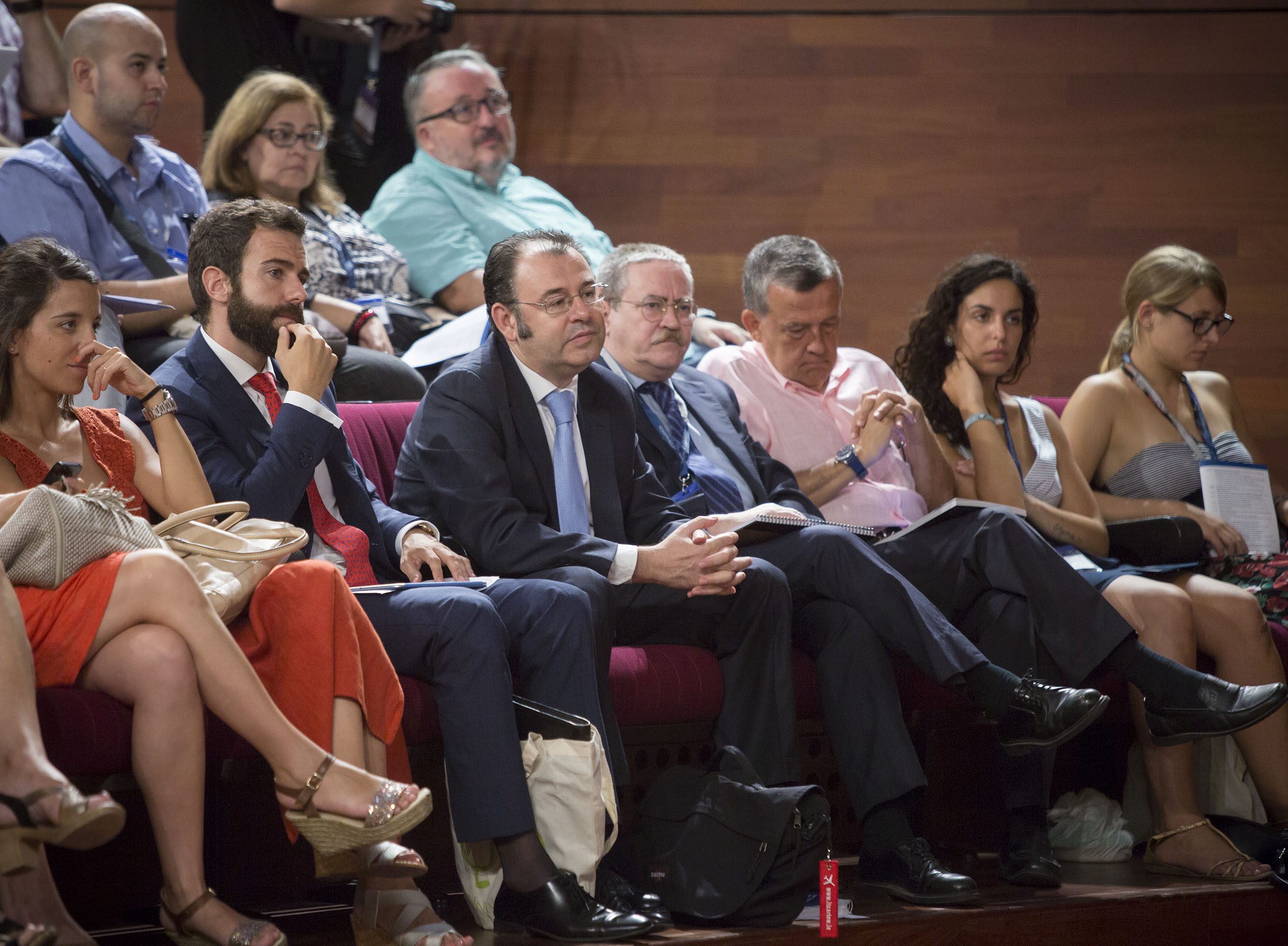 Programa Internacional de Asesoramiento